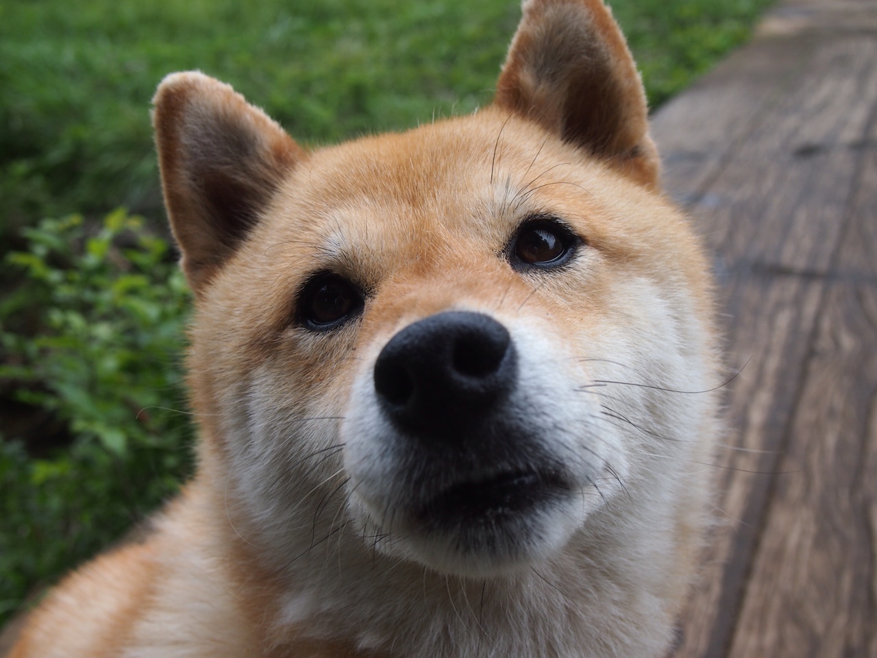 中国三人篮球男队积极调整战术体系,中国三人篮球战况