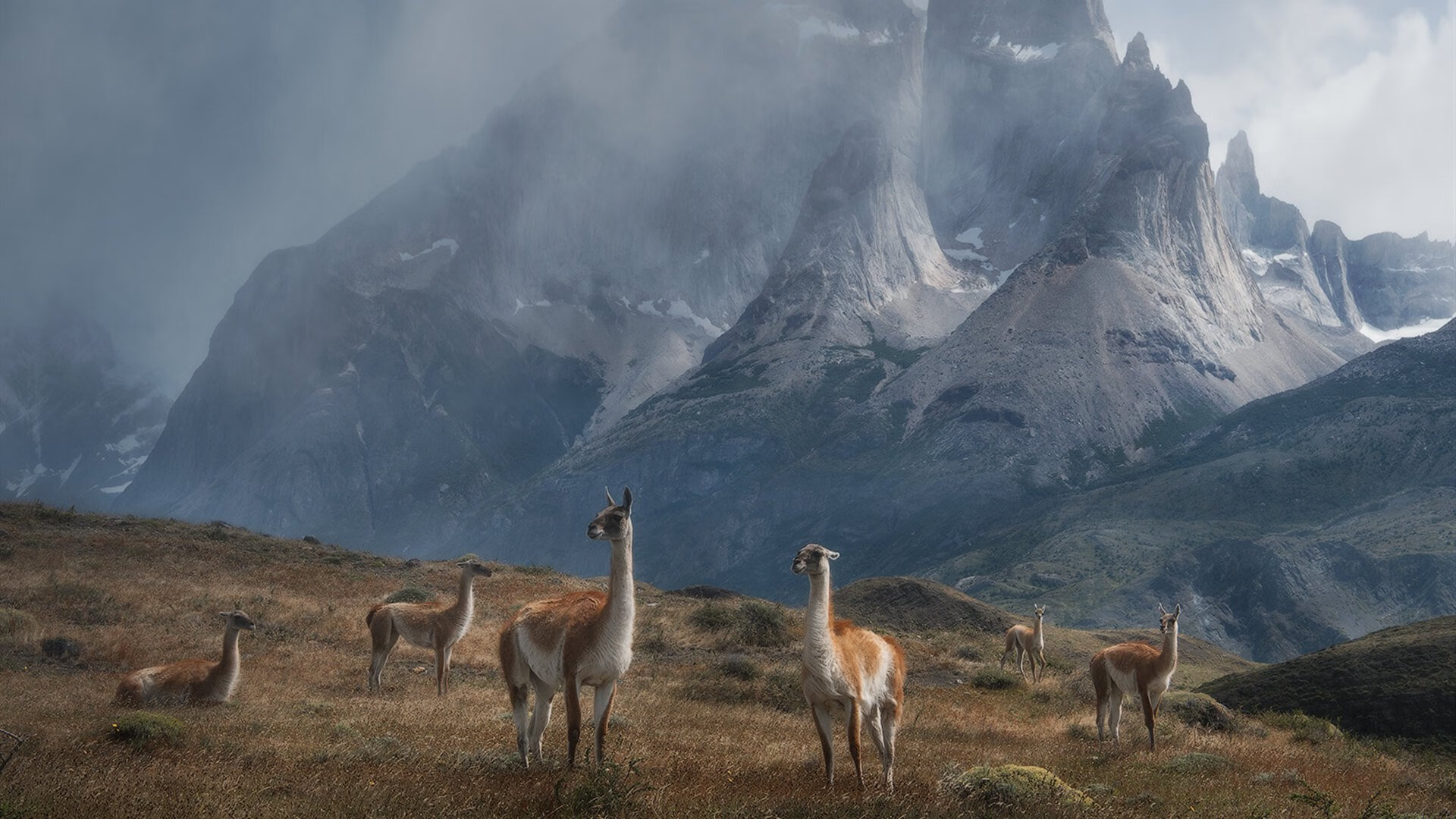 九游(jiuyou)官方网站-中国足球年度多回合进攻效率评价系统，足球比赛回合制