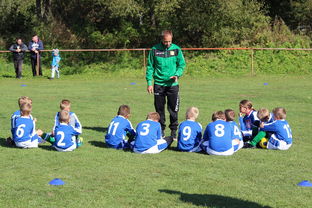 九游app官方下载-中国足球年度战术视频分析内容频次统计，中国足球战术风格