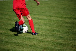 九游娱乐(jiuyou)官方网站-篮球运动员心理韧性培养与干预体系，篮球运动员的心理选材