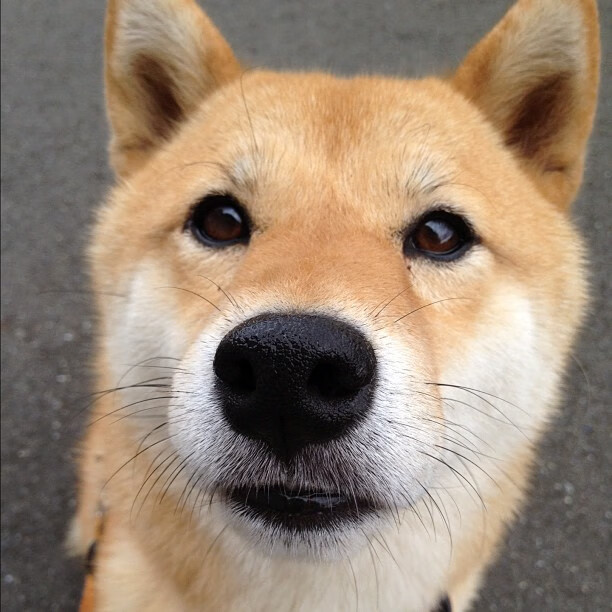 联赛冲刺:锁定冠军或保级的关键对决盘点