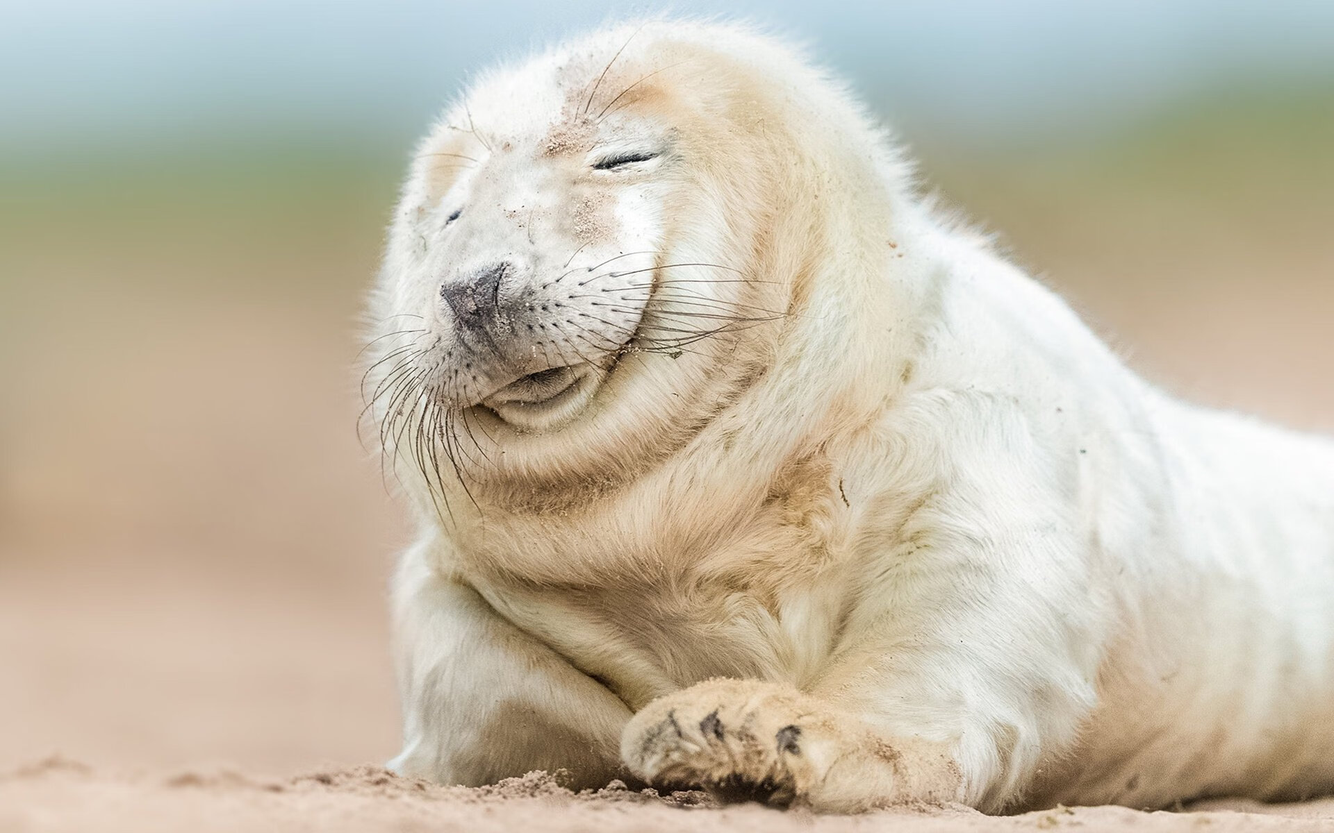 “一起跑,亲子乐!香港牛仔3K亲子跑成为新亮点”