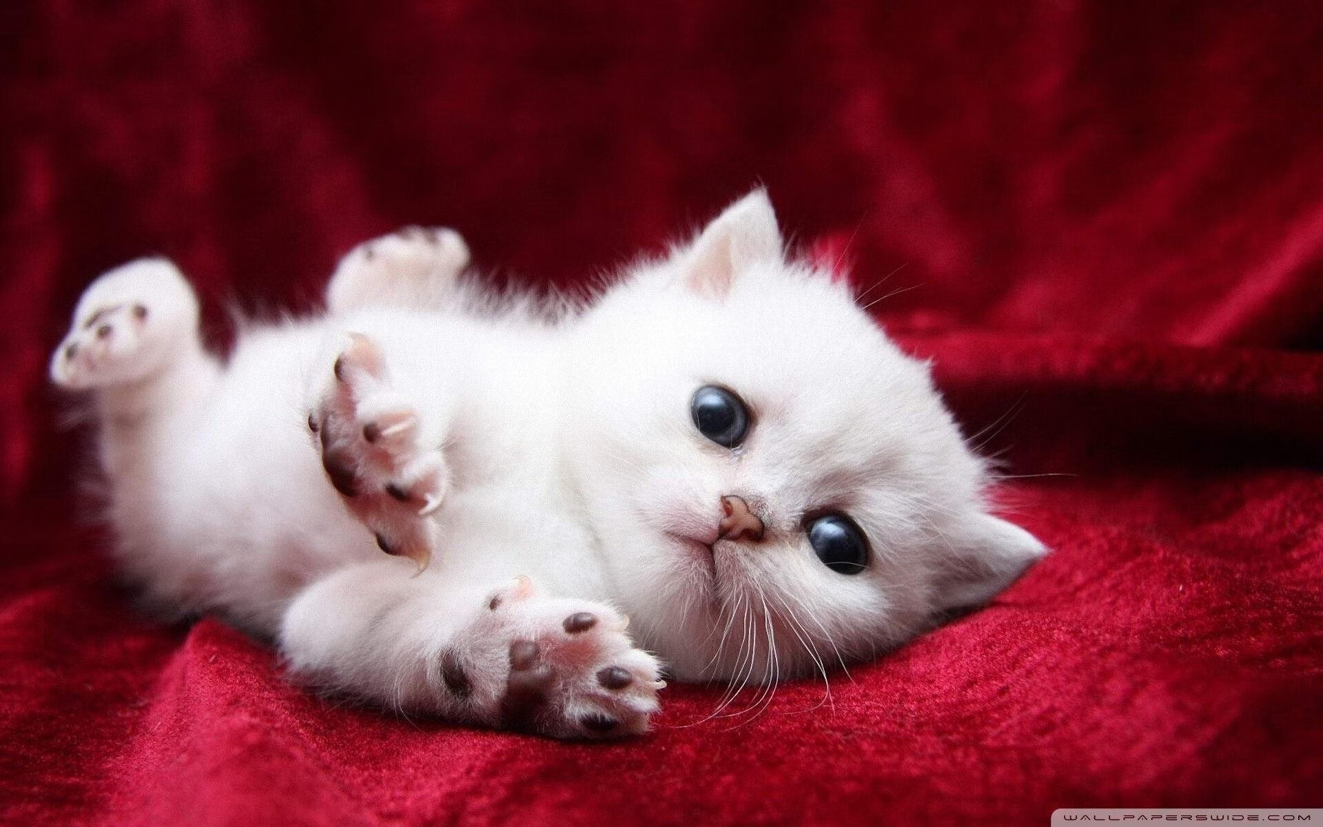 “高新体育中心:网球赛事上演世界级对决,精彩不断”