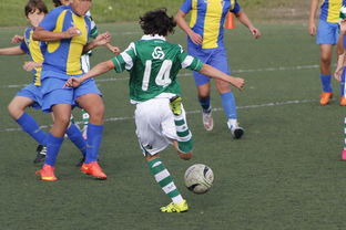 9游-体育纪录片内容更加丰富，体育纪录片主题